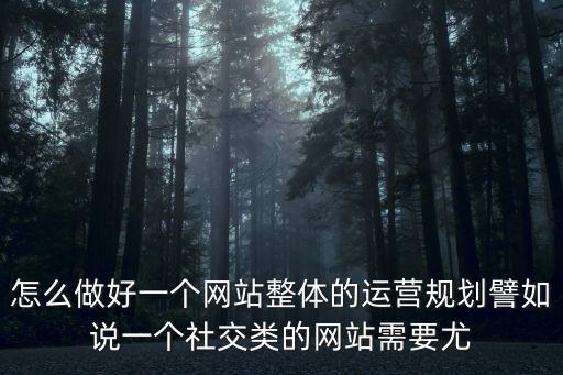 整體運(yùn)營(yíng)，怎么做好一個(gè)網(wǎng)站整體的運(yùn)營(yíng)規(guī)劃譬如說(shuō)一個(gè)社交類的網(wǎng)站需要尤