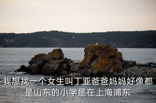 丁亞，我哥哥的女兒出生了誰幫忙給取個(gè)名字啊名字開頭為丁亞三