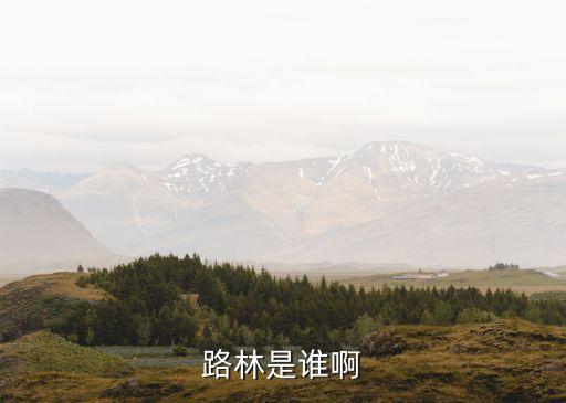 路林是誰(shuí)啊