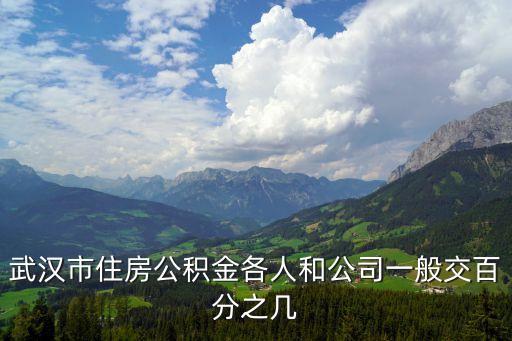 武漢市住房公積金各人和公司一般交百分之幾