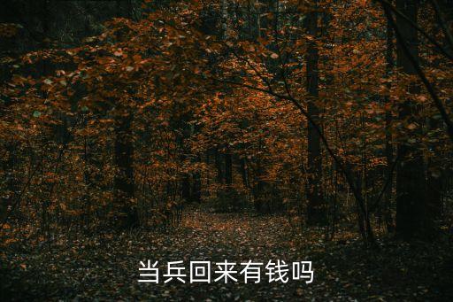 當(dāng)兵回來有錢嗎