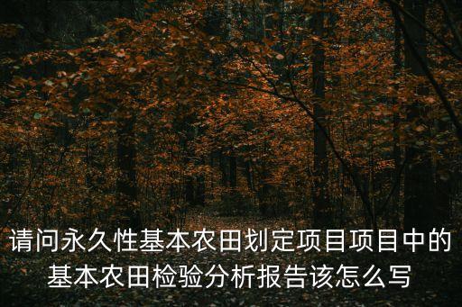 請問永久性基本農(nóng)田劃定項(xiàng)目項(xiàng)目中的基本農(nóng)田檢驗(yàn)分析報(bào)告該怎么寫