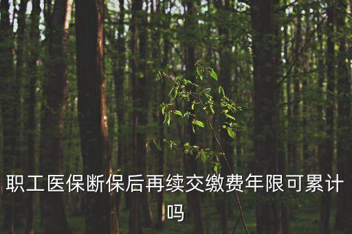 醫(yī)保中斷還累計年限嗎，醫(yī)療保險繳費中斷之前的繳費年限會作廢嗎