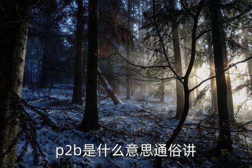 p2b，p2b是什么意思通俗講