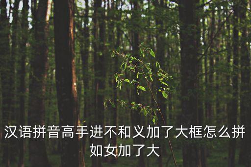 漢語拼音高手進不和義加了大框怎么拼如女加了大