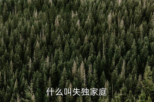 什么叫失獨(dú)家庭