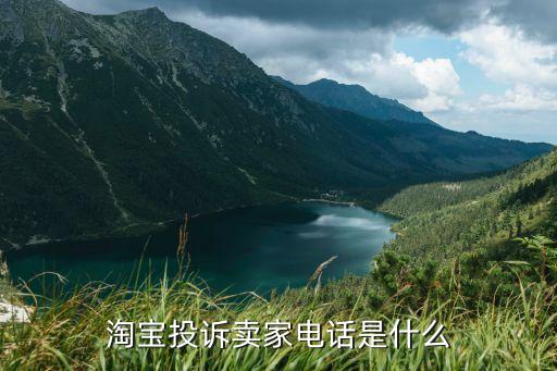 投訴商家最有效的電話，淘寶投訴賣家電話號(hào)碼是