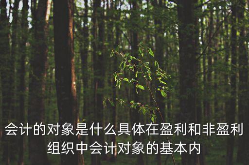 會計的對象是什么具體在盈利和非盈利組織中會計對象的基本內(nèi)