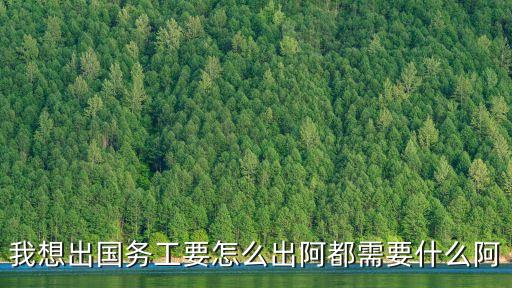 我想出國務(wù)工要怎么出阿都需要什么阿