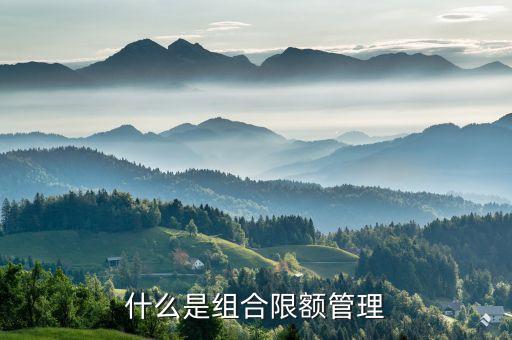 什么是組合限額管理
