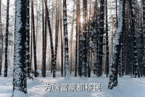 為啥富豪都移民