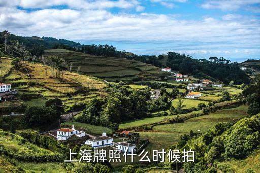 上海牌照什么時候拍