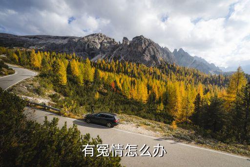 冤情，有冤情怎么辦