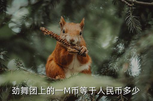 一m是多少錢，勁舞團(tuán)上的一M幣等于人民幣多少
