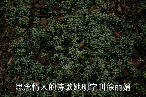 徐麗娟，你叫什么名字