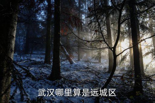 武漢哪里算是遠城區(qū)
