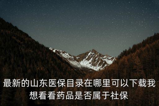 山東省醫(yī)保目錄，奧硝唑氯化鈉注射液屬于山東醫(yī)保藥品嗎