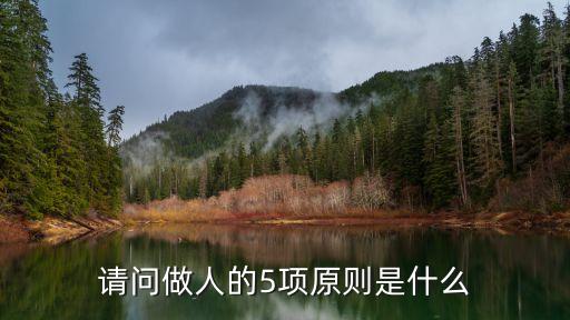 請問做人的5項(xiàng)原則是什么