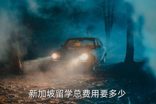 新加坡留學總費用要多少