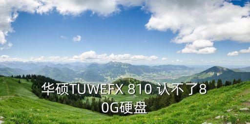 華碩TUWEFX 810 認不了80G硬盤