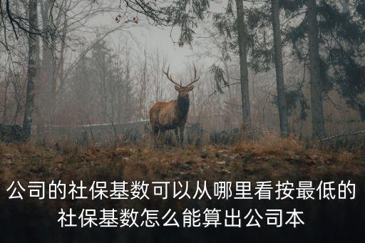 社?；鶖?shù)怎么查詢，個(gè)人社?；鶖?shù)怎么查