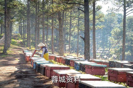 大成都，西安和成都哪個大
