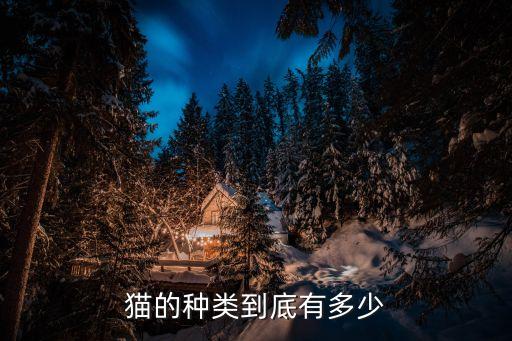 貓的種類到底有多少