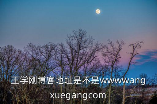 王學剛，王學剛博客地址是不是wwwwangxuegangcom