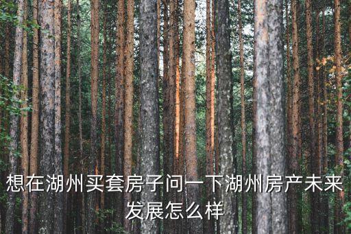 想在湖州買(mǎi)套房子問(wèn)一下湖州房產(chǎn)未來(lái)發(fā)展怎么樣