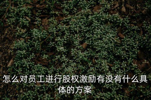 員工持股激勵(lì)方案，對(duì)員工股份激勵(lì)