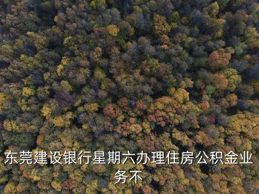 東莞住建，我是東莞建設(shè)銀行的住房公積金但我忘了初始密碼怎么辦