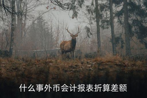 什么事外幣會計報表折算差額