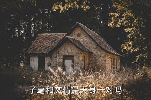 文倩，子毫和文倩是天身一對(duì)嗎