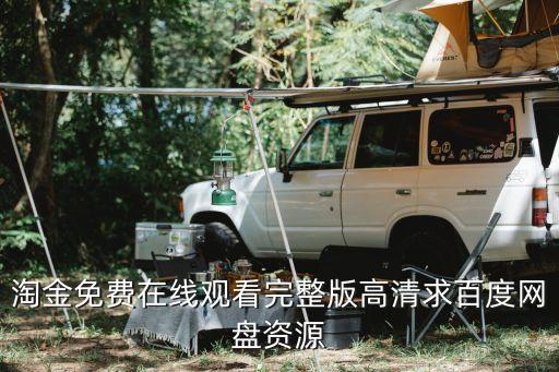 淘金免費在線觀看完整版高清求百度網盤資源