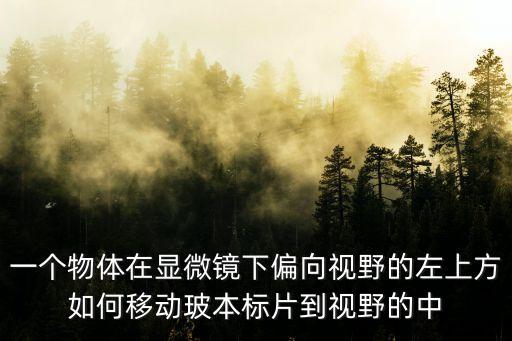 本標(biāo)，一個(gè)物體在顯微鏡下偏向視野的左上方如何移動(dòng)玻本標(biāo)片到視野的中