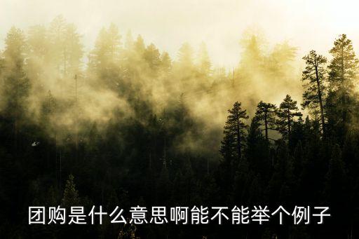 團(tuán)購(gòu)什么意思，團(tuán)購(gòu)到底是什么意思