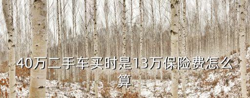 40萬二手車買時是13萬保險費怎么算