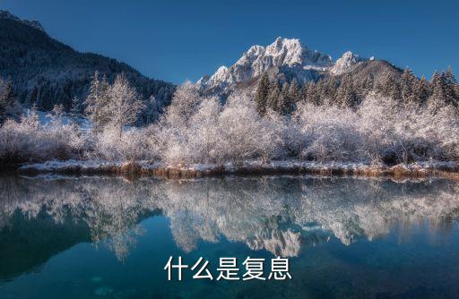 什么是復(fù)息