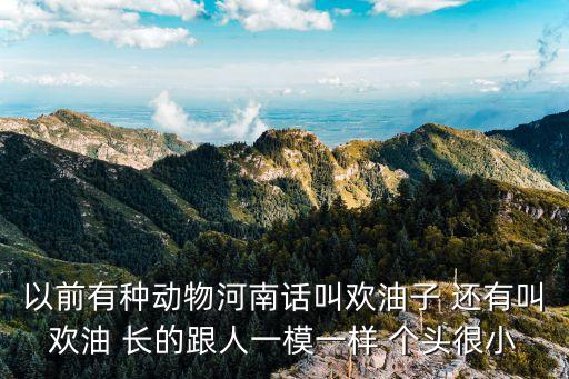 狗歡子，以前有種動(dòng)物河南話叫歡油子 還有叫歡油 長(zhǎng)的跟人一模一樣 個(gè)頭很小