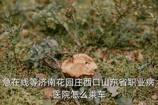 山東省職業(yè)病醫(yī)院，急在線等濟南花園莊西口山東省職業(yè)病醫(yī)院怎么乘車