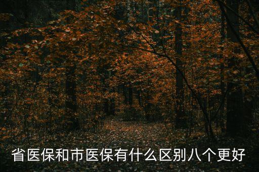 省醫(yī)保和市醫(yī)保有什么區(qū)別八個(gè)更好