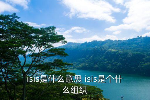 恐怖組織，isis是什么組織