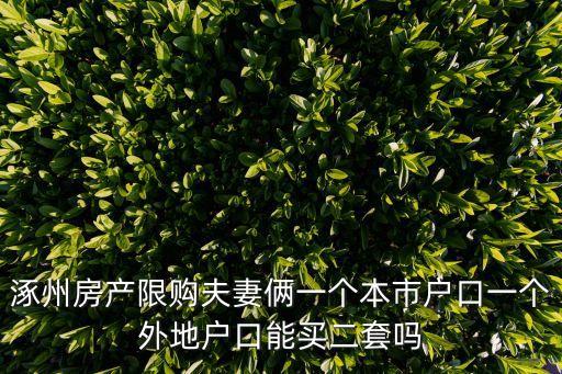 涿州房產(chǎn)限購夫妻倆一個本市戶口一個外地戶口能買二套嗎