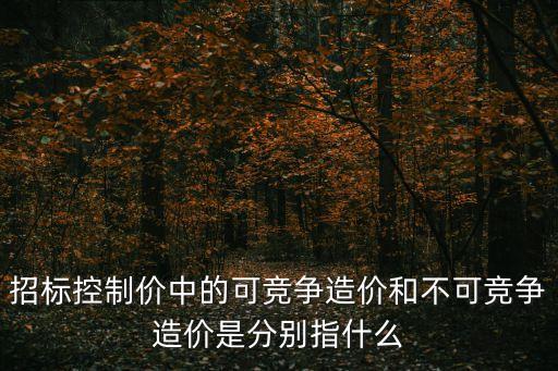 不可競(jìng)爭(zhēng)費(fèi)，招投標(biāo)時(shí)哪些是可競(jìng)爭(zhēng)費(fèi)率哪些是不可競(jìng)爭(zhēng)費(fèi)率