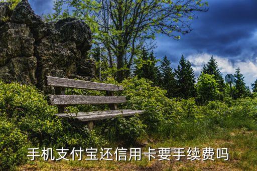 支付寶還信用卡要手續(xù)費(fèi)嗎，現(xiàn)在支付寶的信用卡還款功能需要付手續(xù)費(fèi)嗎