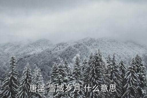 唐堅，樂山市長是誰