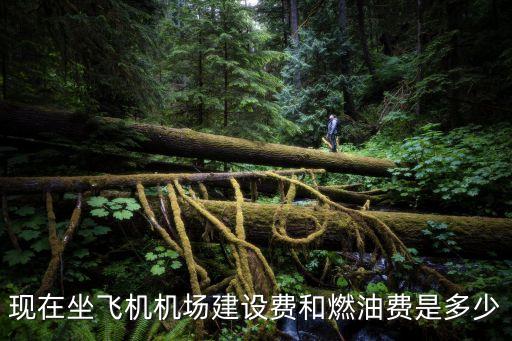 現(xiàn)在坐飛機(jī)機(jī)場建設(shè)費(fèi)和燃油費(fèi)是多少