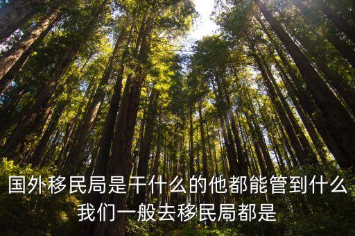 美國移民局，怎樣在美國移民局網(wǎng)站上查看自己的簽證進度