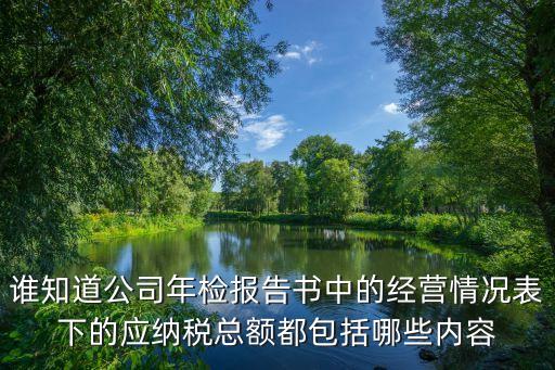 納稅總額是指什么，公司年檢報(bào)告書的全年納稅總額包括哪些稅種