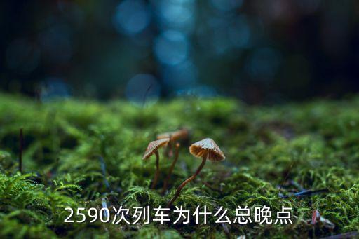 2590次列車為什么總晚點